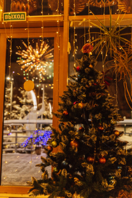 Новый год 2026