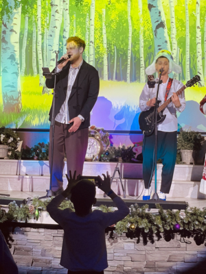 Новый год 2026