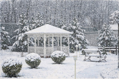 Зима в Корабле 2026