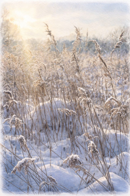 Зима в Корабле 2026